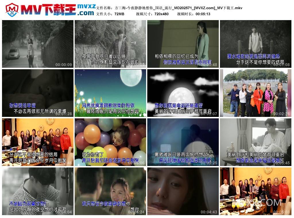 方三梅-今夜静静地想你_国语_流行_MD202571